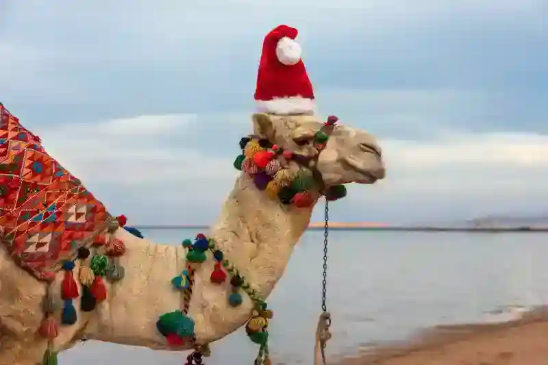 Capodanno e Natale in Egitto